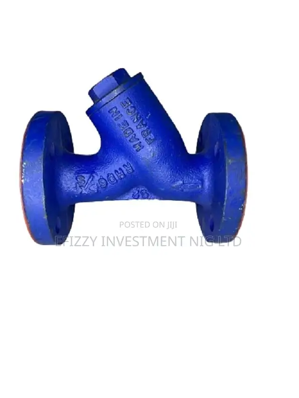 Spirax Sarco Strainer