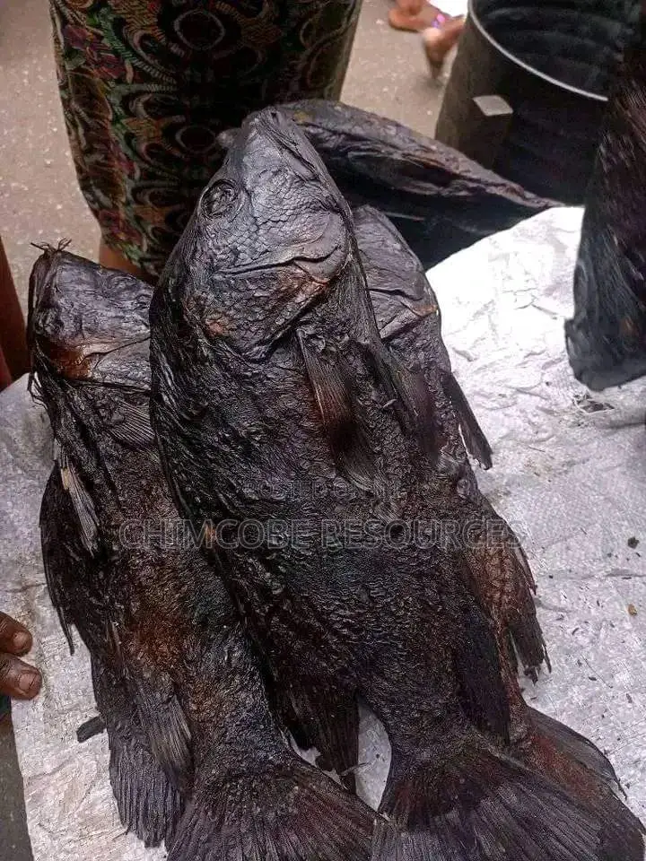 Freshly Dried SHINOSE Fish