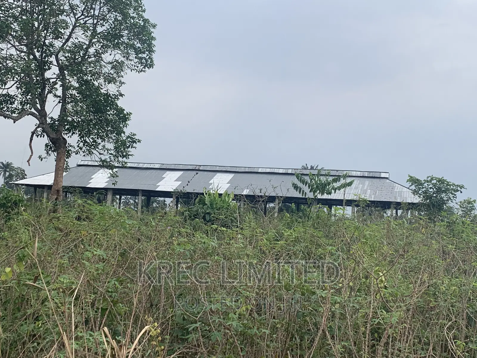 50plots at Ph Int’L Airport