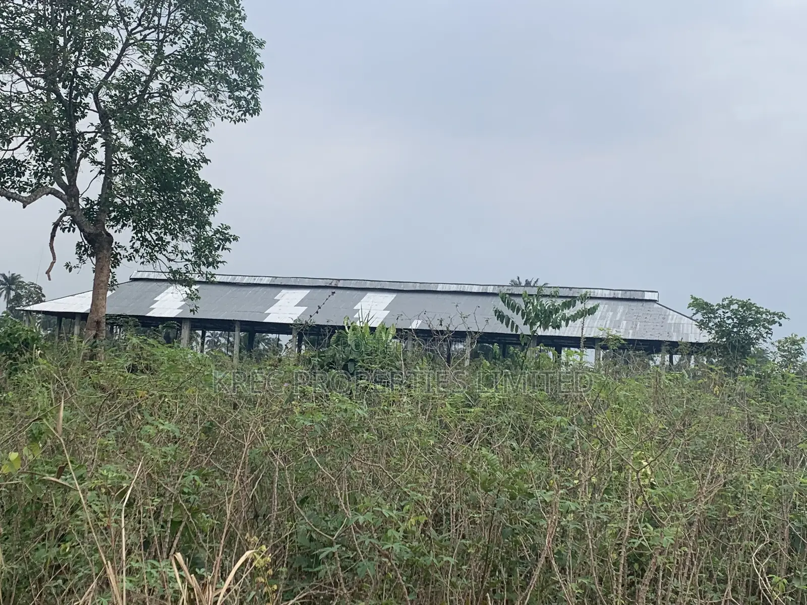 50plots at Ph Int’L Airport