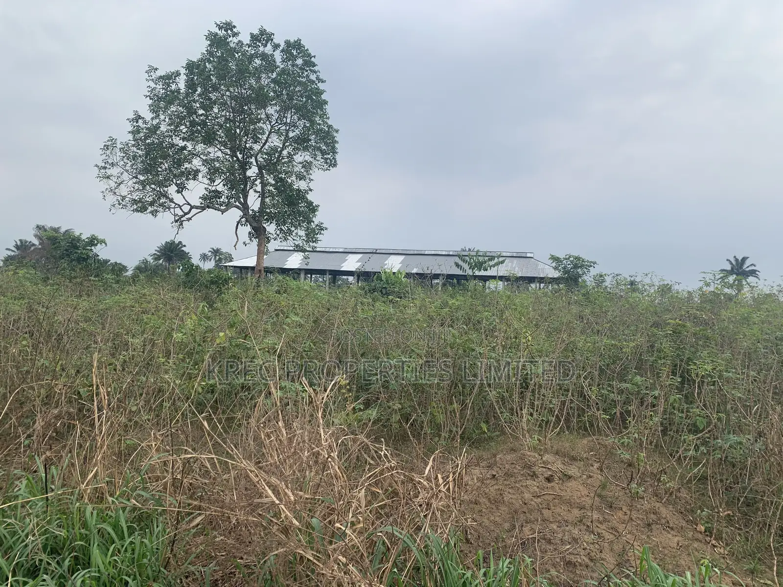 50plots at Ph Int’L Airport