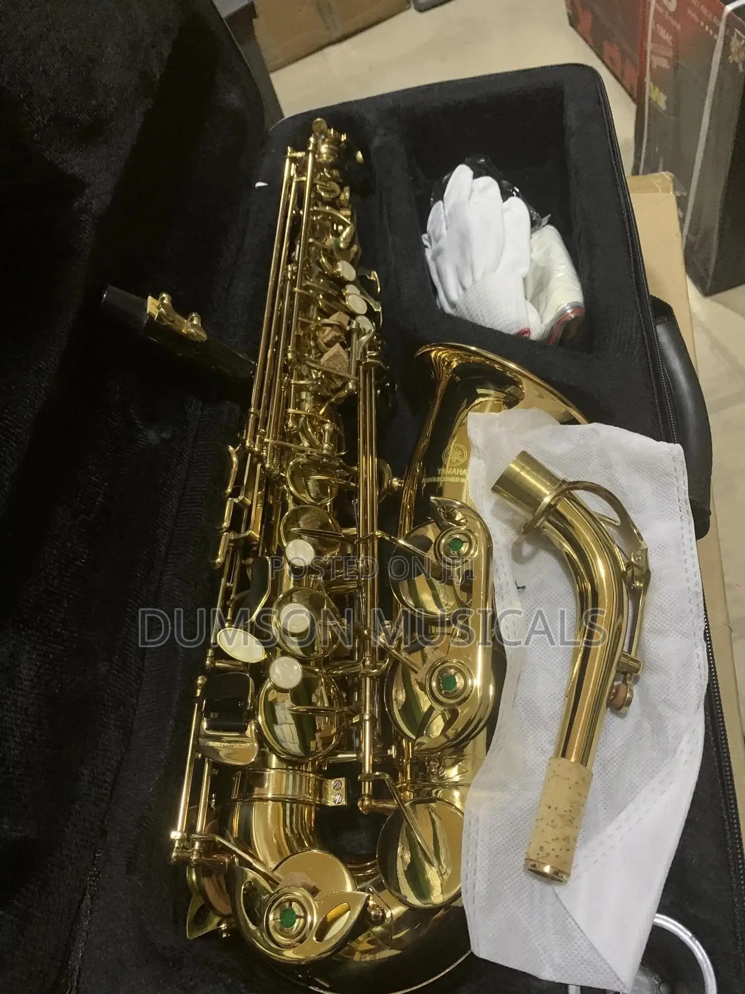 Alto Saxophone Golden