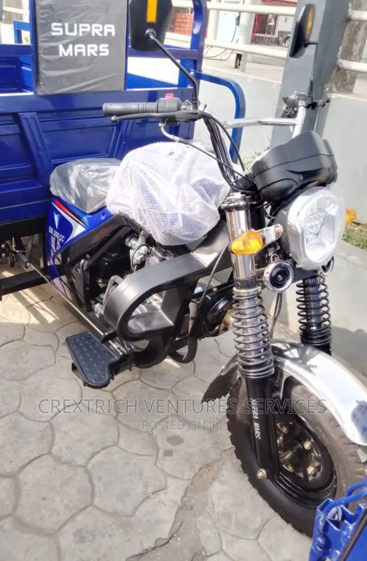 Cargo Tricycle Bike