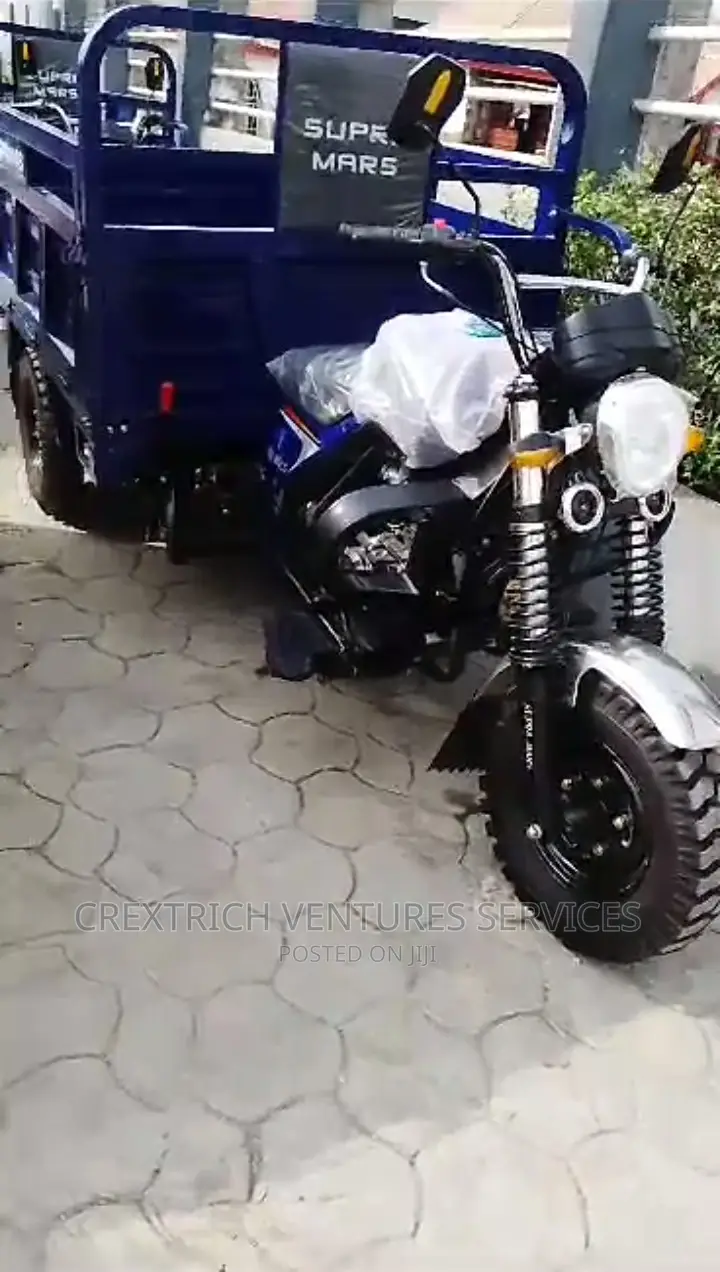 Cargo Tricycle Bike