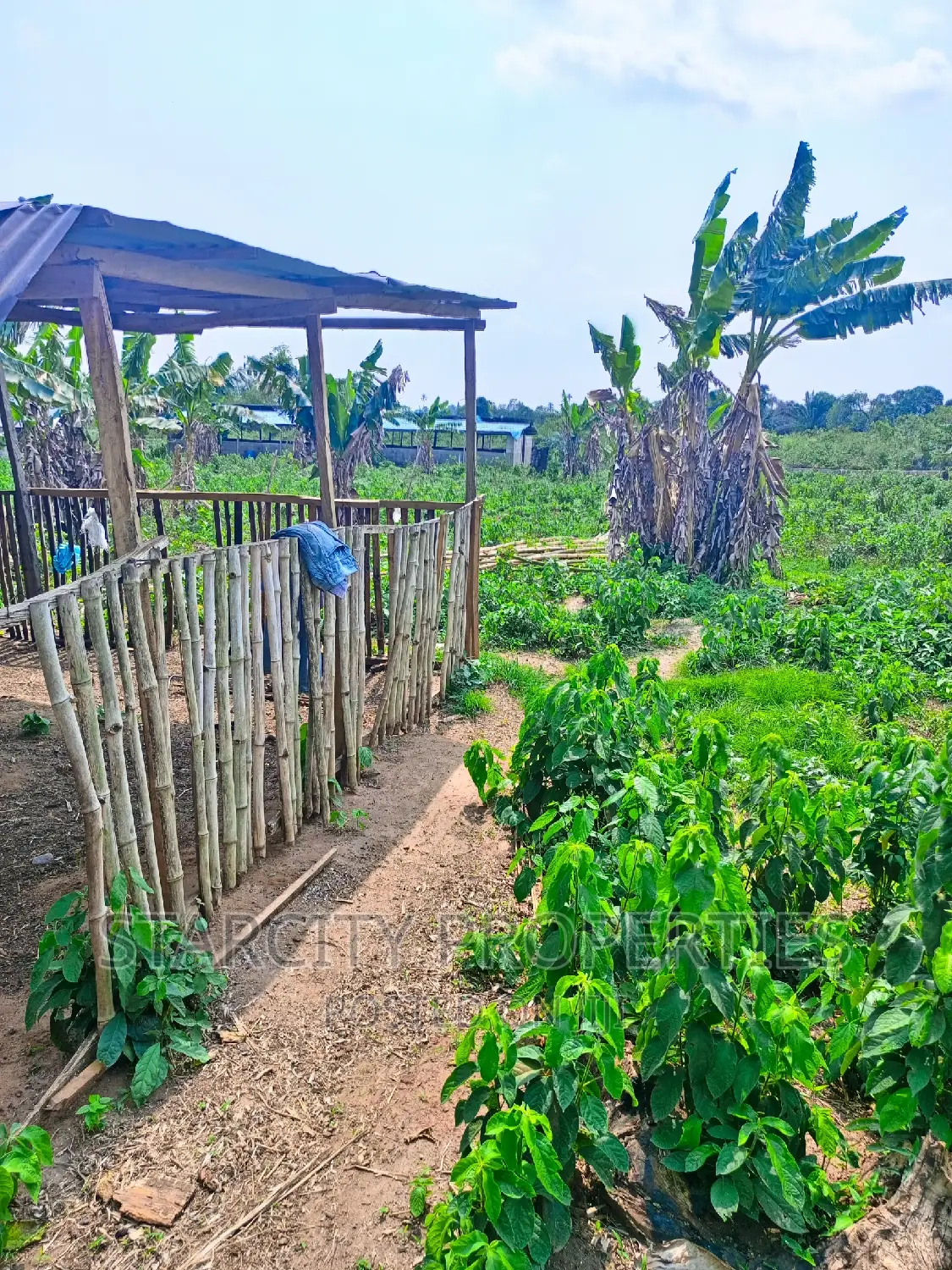 Cheap Farmland for Sale in Imota Ikorodu Lagos State