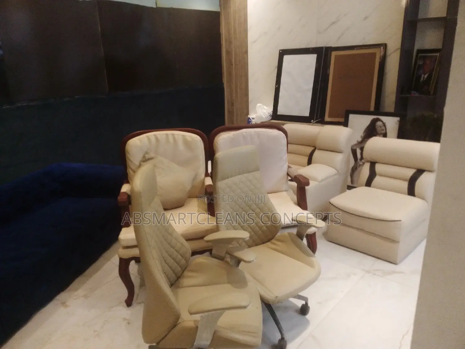 Couch and Bed Cleaning Services