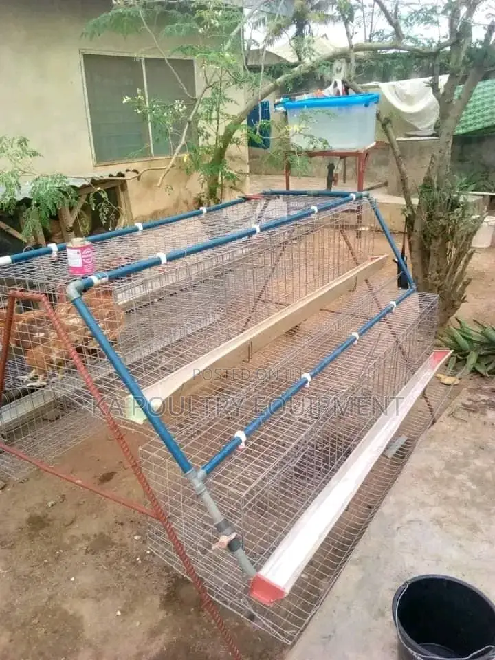 Battery Cage and Poultry Equipment