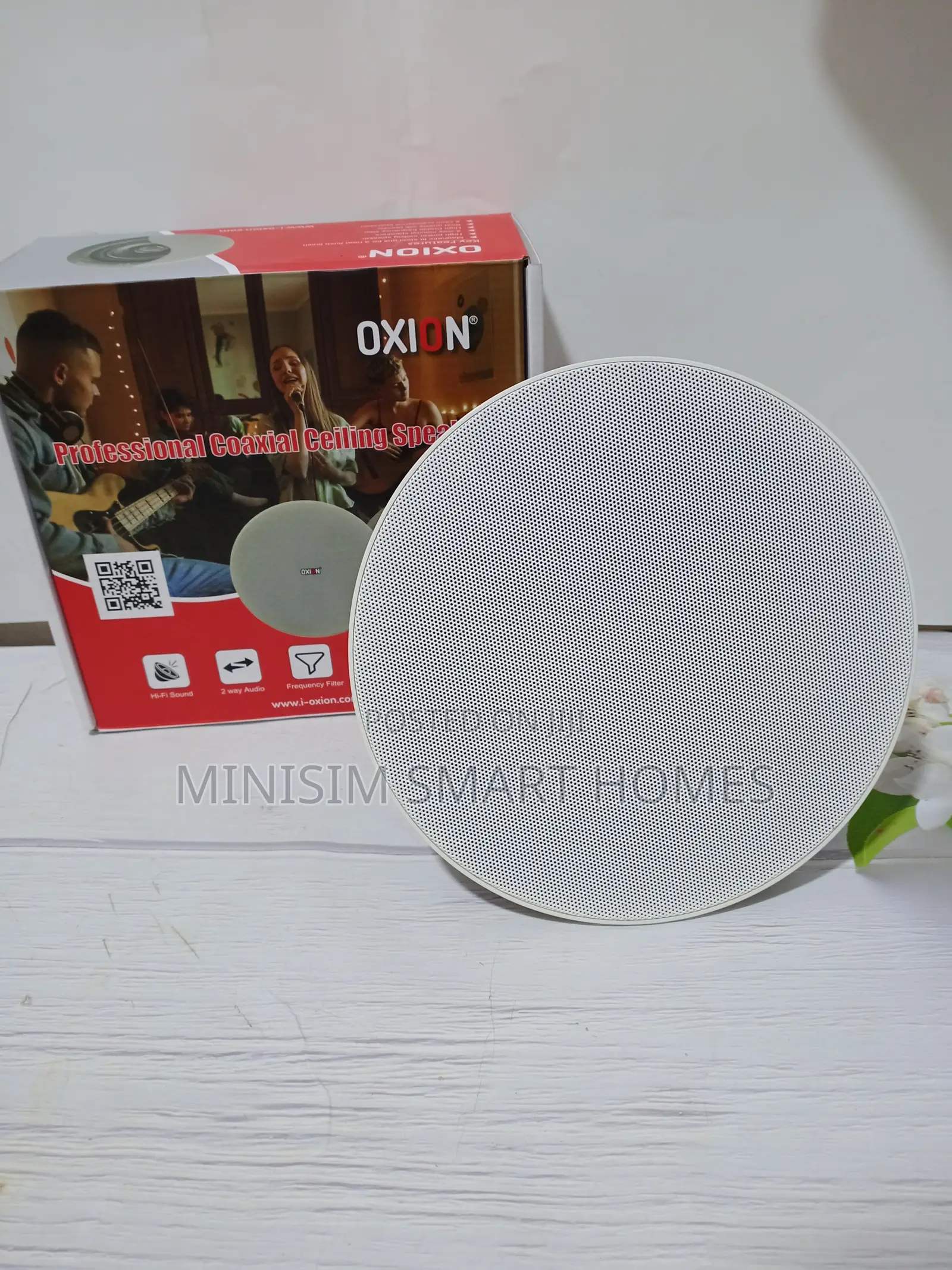 5.25 Inches 20w Ceiling Speaker