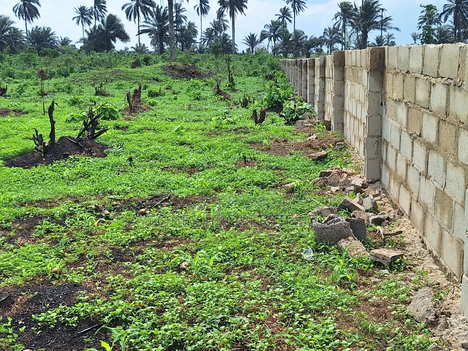 For Sale: 40 Plots Directly on Airport Road, Port Harcourt