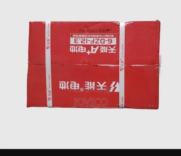 Electric Bike Lead Acid Battery (48v 12ah)