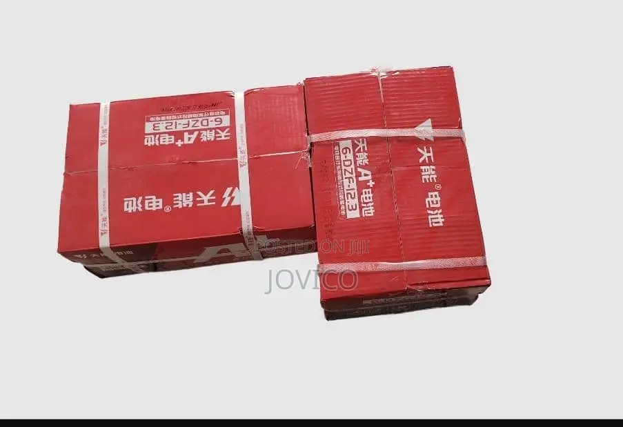 Electric Bike Lead Acid Battery (48v 12ah)