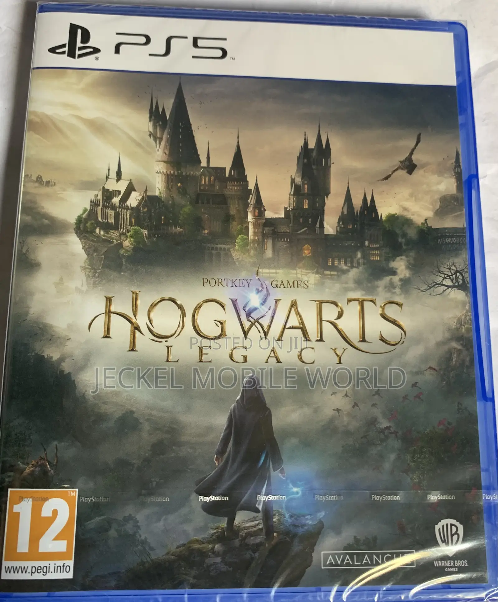 Playstation 5 Hog Warts Legacy