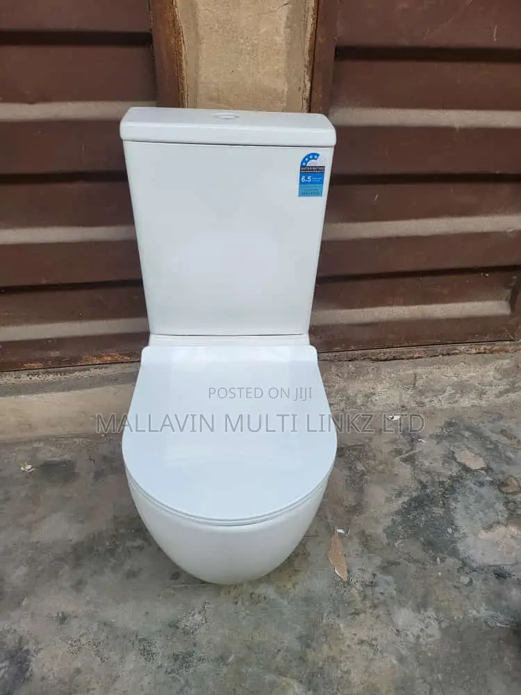 Modern Two Piece Toilet Seats With Basin