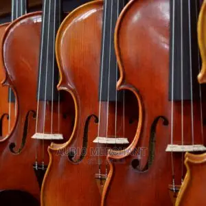 1/6,1/8,1/10 Violins