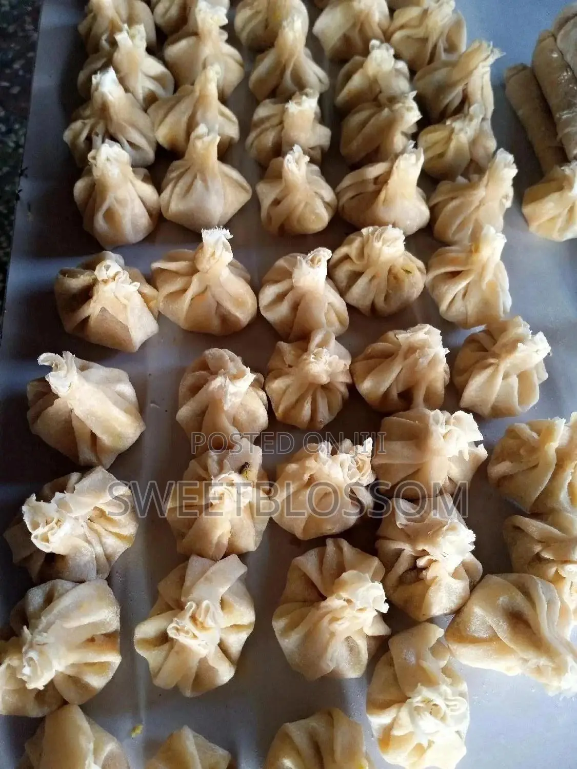 Freshly Made Spring Roll and Samosa