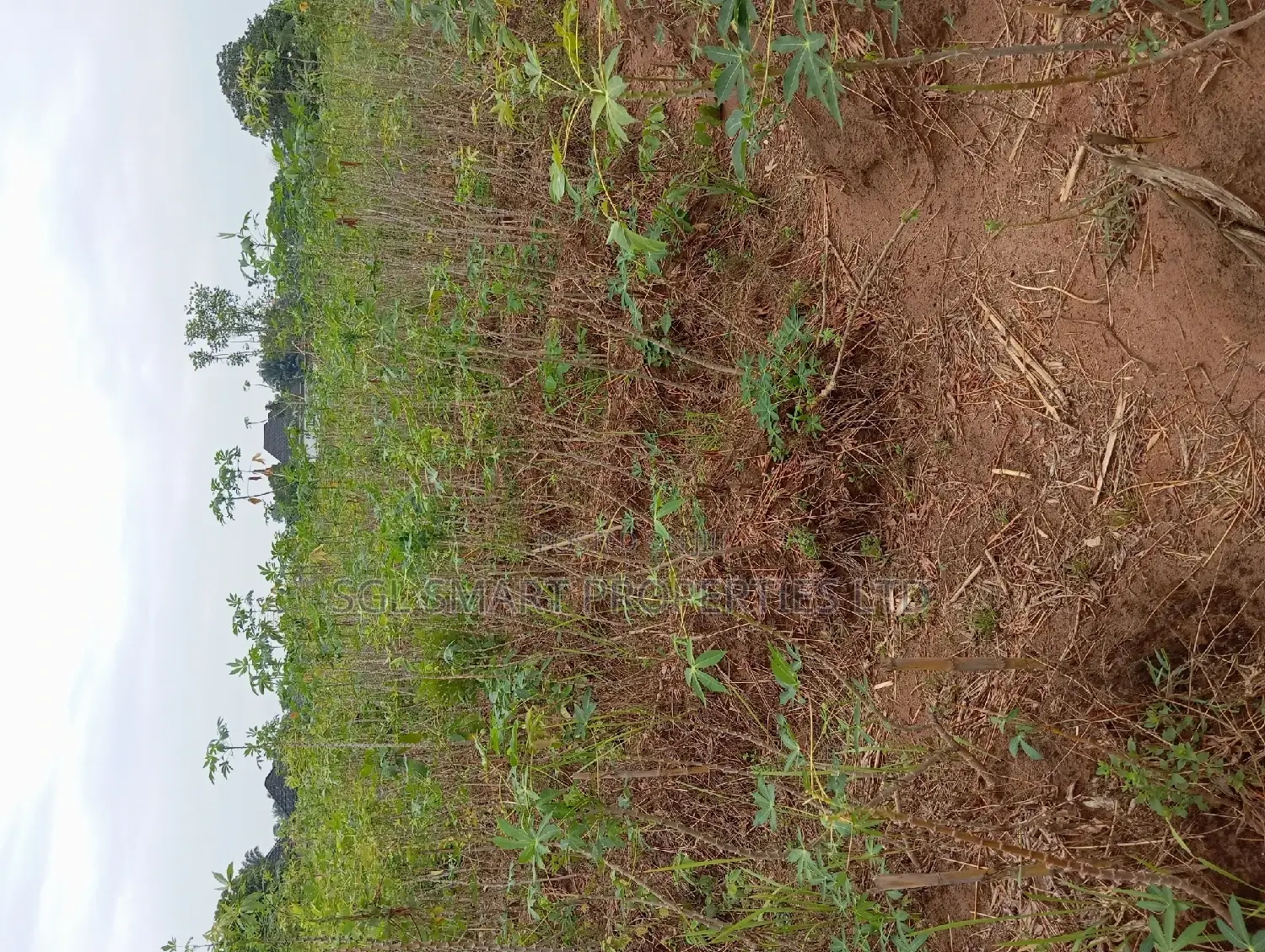 One and Half Plots for Sale at Back of City Land