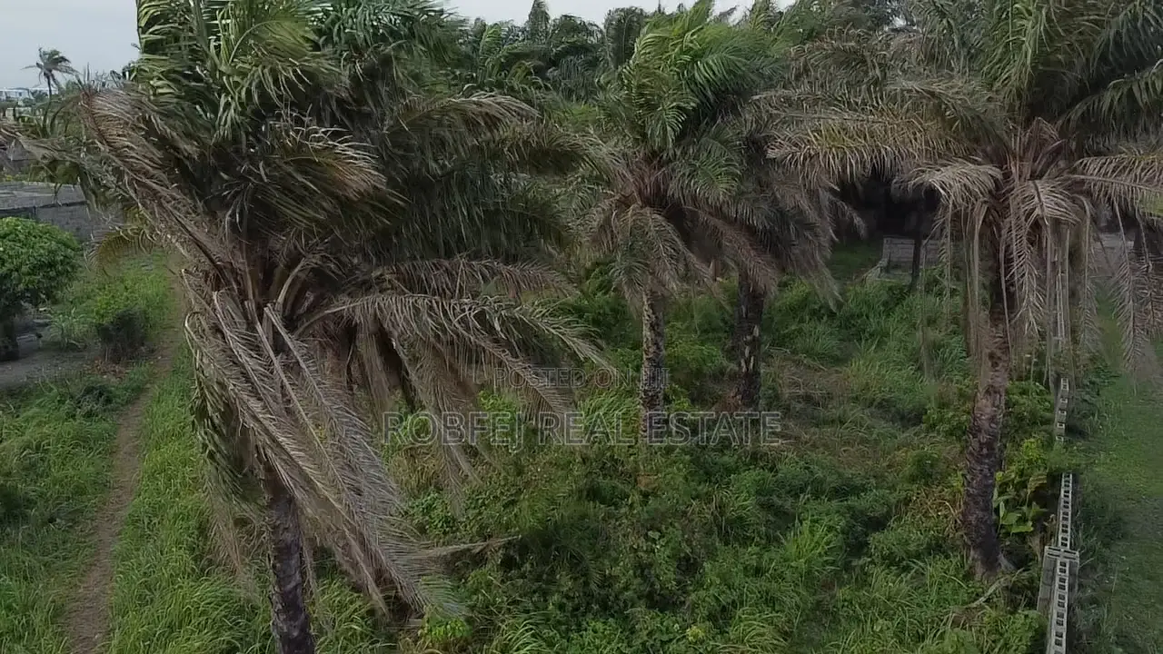 Don't Miss This Opportunity to Own Your Own Ocean View Parad