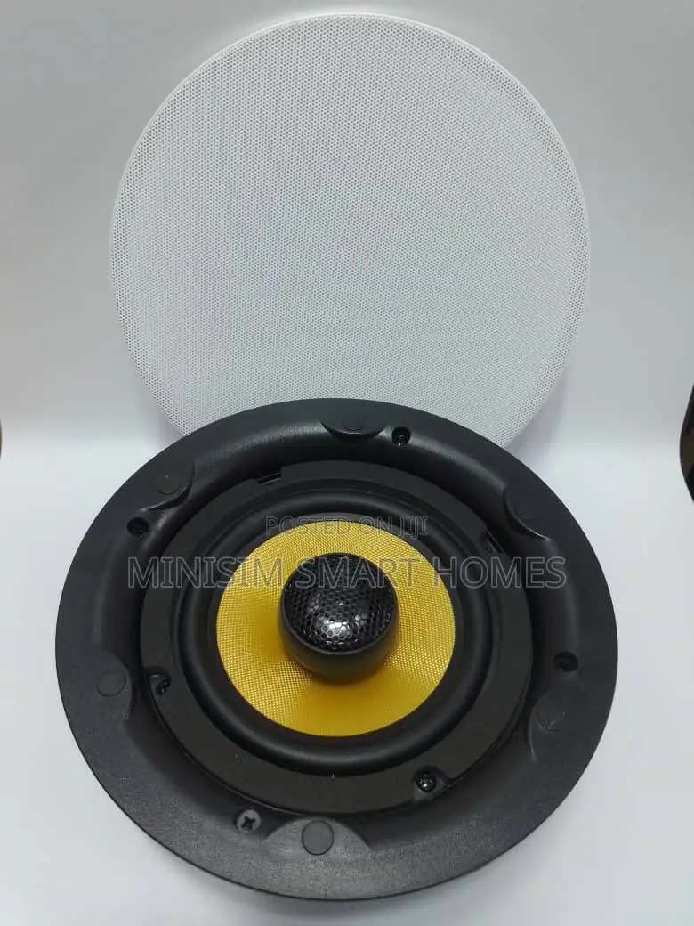 20w Active Ceiling Speaker