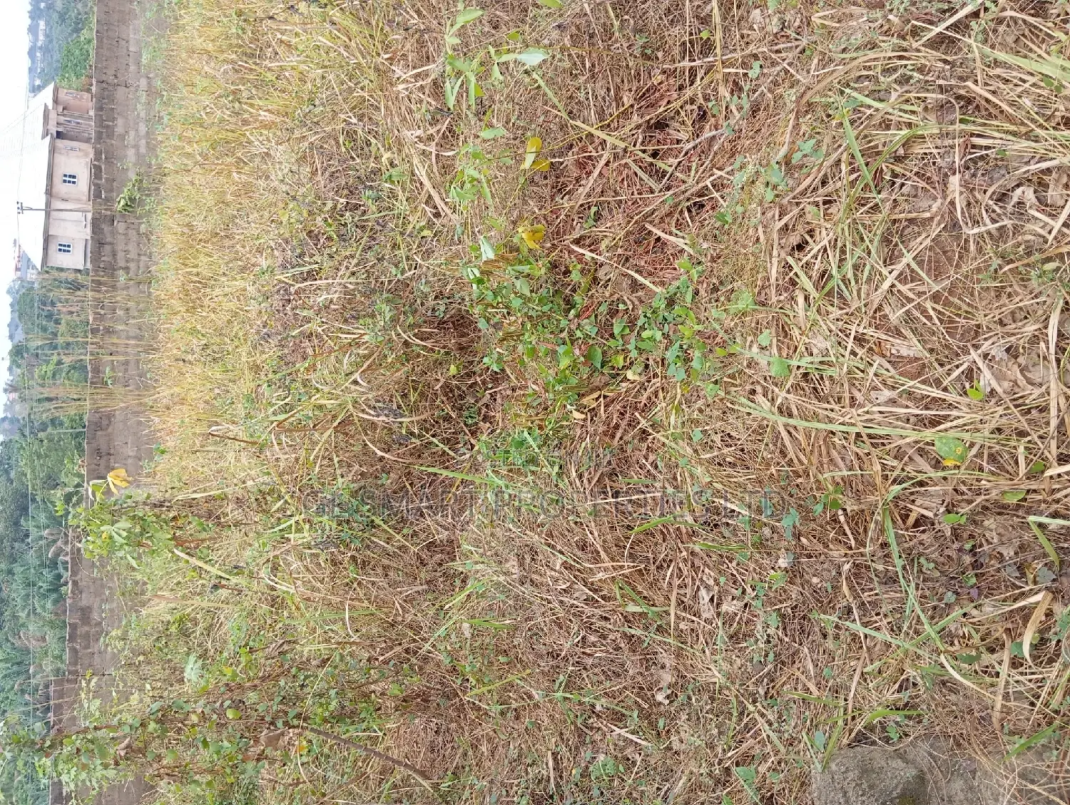 1 Plot of Land at Back of City Land Mark Hotel