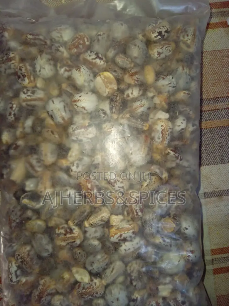 Castor Seeds
