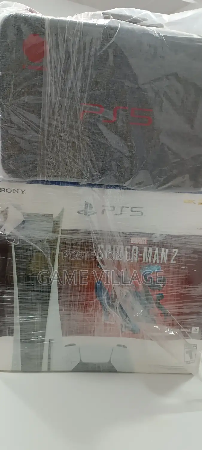 Playstation 5 Bag