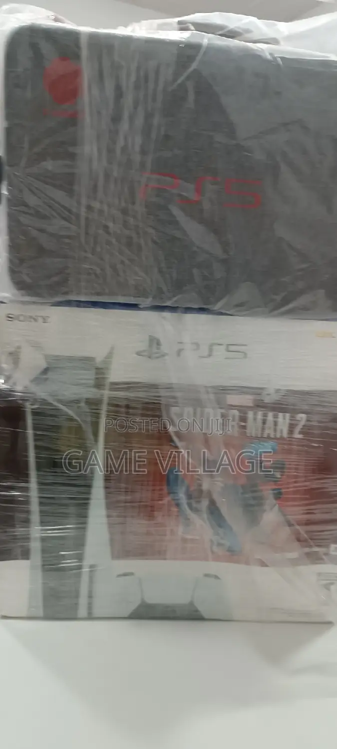 Playstation 5 Bag