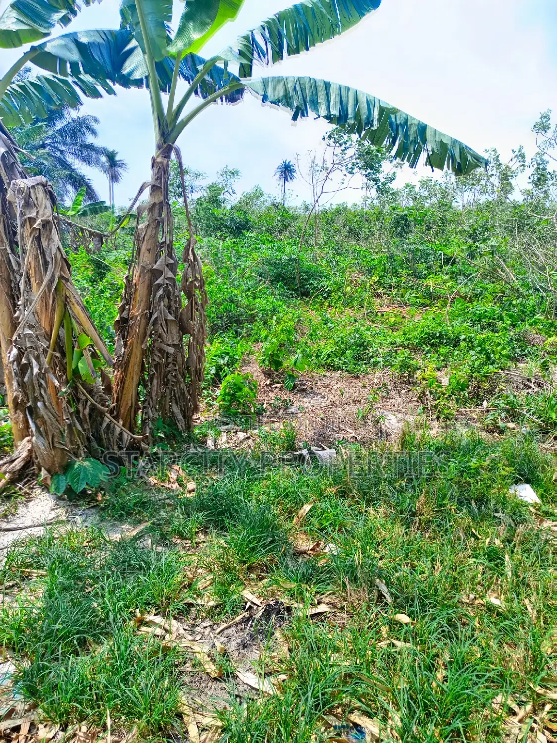 Plots of Land for Sale in Queen's Park Estate,Karshi, Abuja
