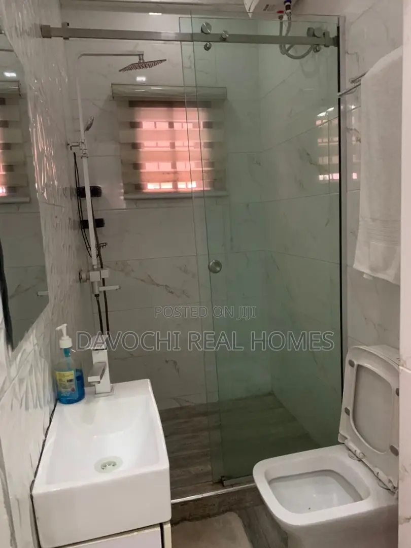 Furnished Mini Flat in Lekki Phase One for rent