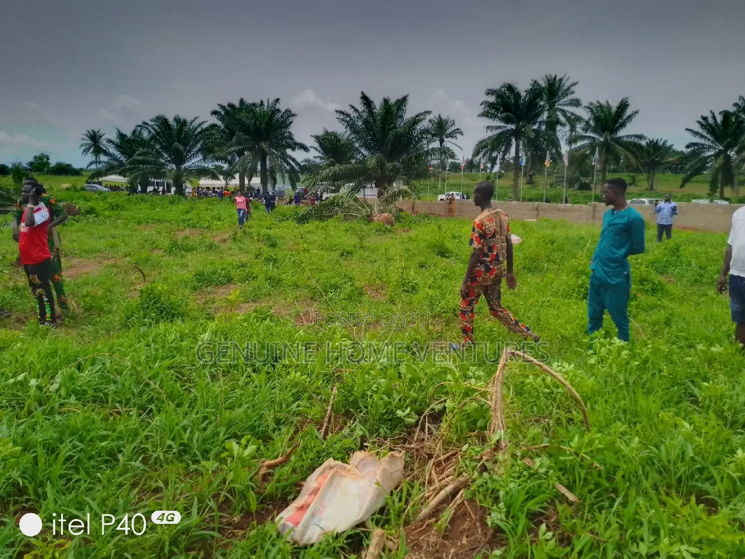 Table Dry Land in Ibeju Lekki