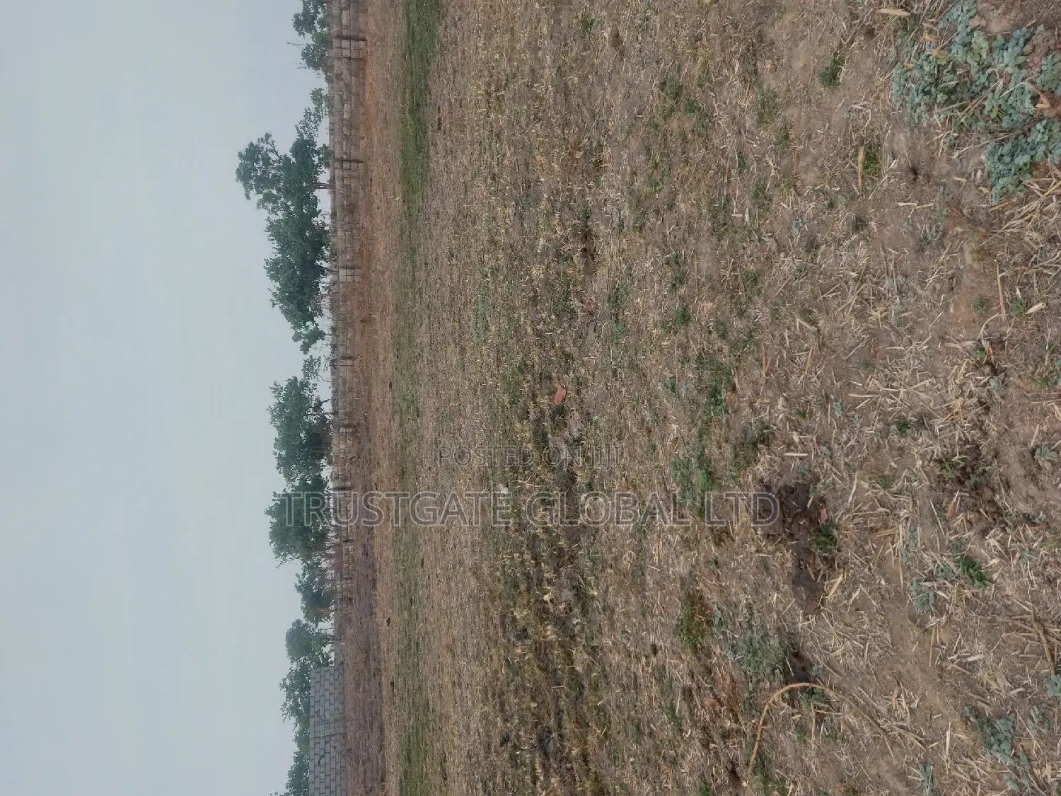 Plots for Sale at Broadview Estate Idu