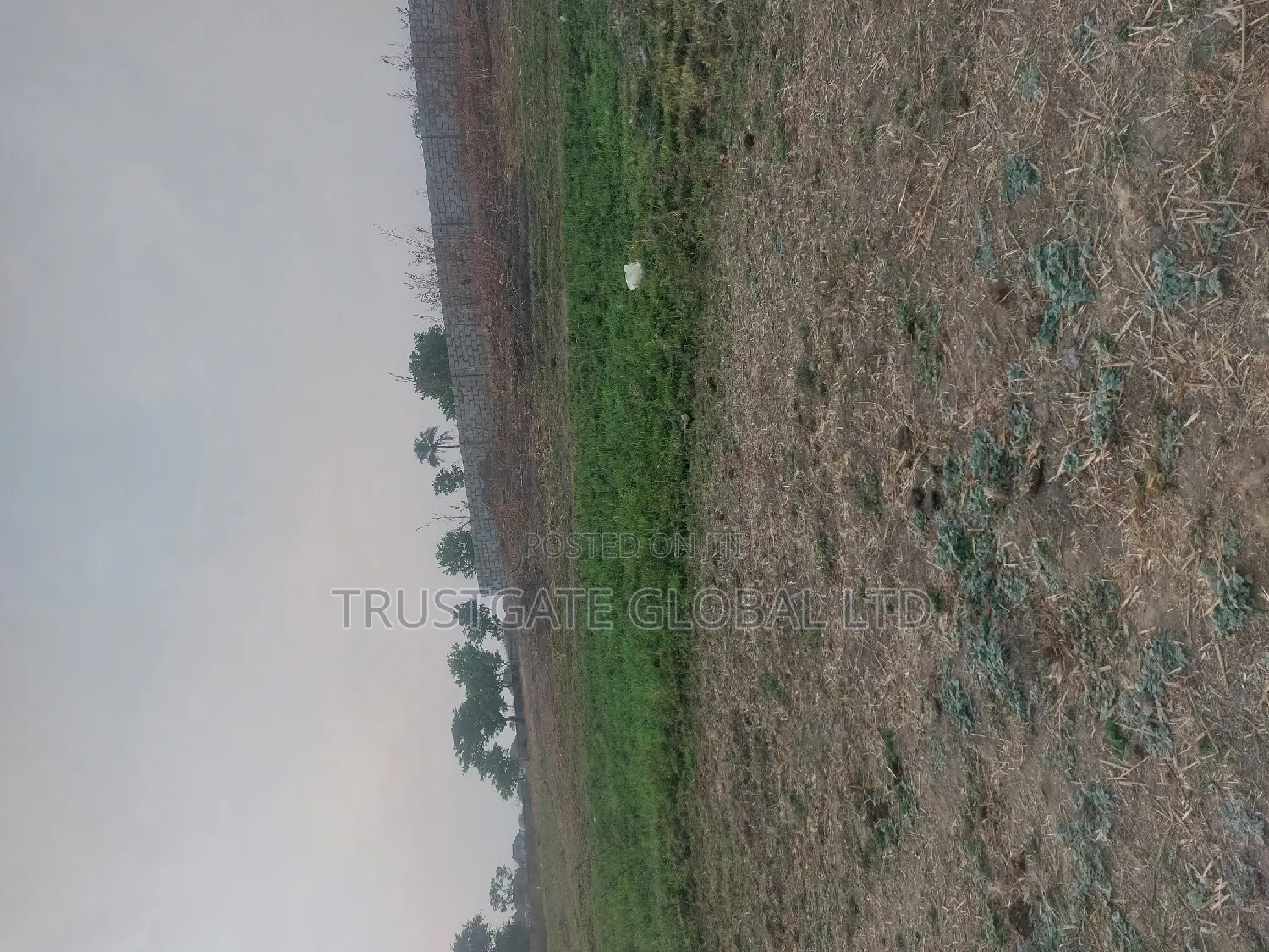Plots for Sale at Broadview Estate Idu