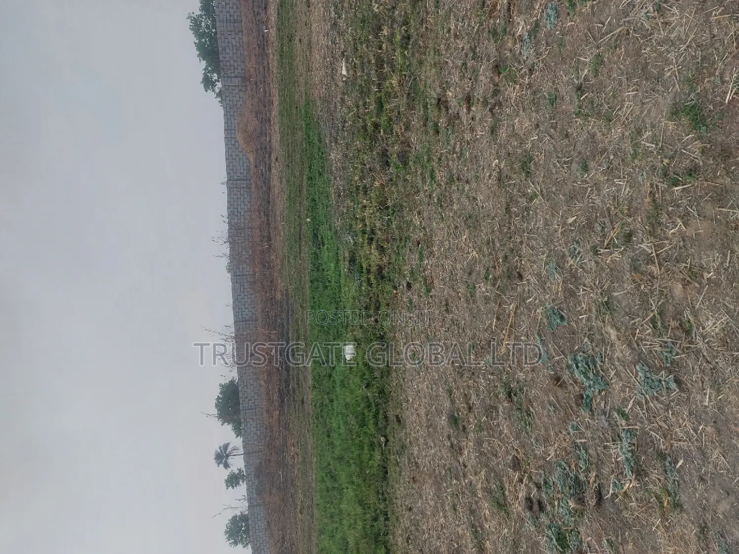 Plots for Sale at Broadview Estate Idu