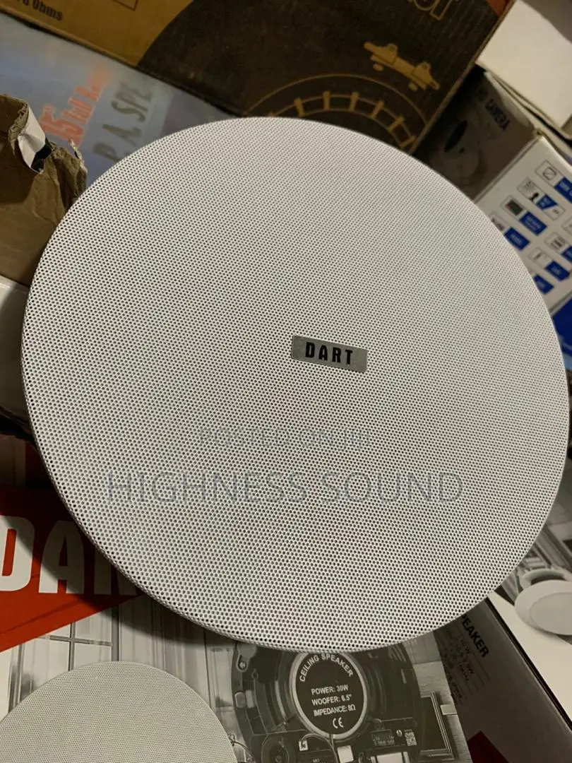 Dart 40watts Frameless Speaker 8inches