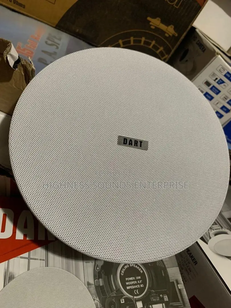 Dart 40watts Frameless Speaker 8inches