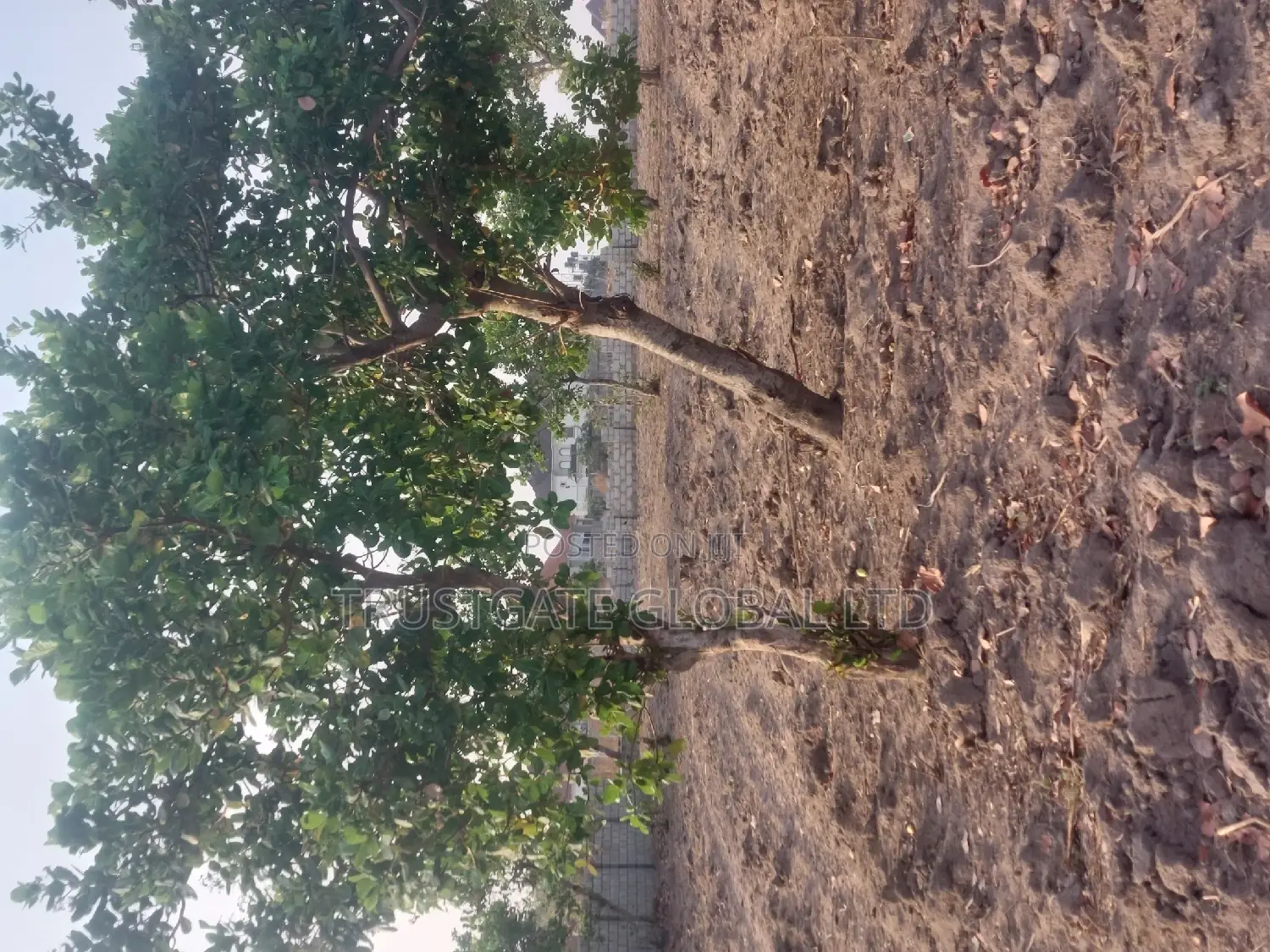 Plots for Sale at Broadview Estate Idu Industrial