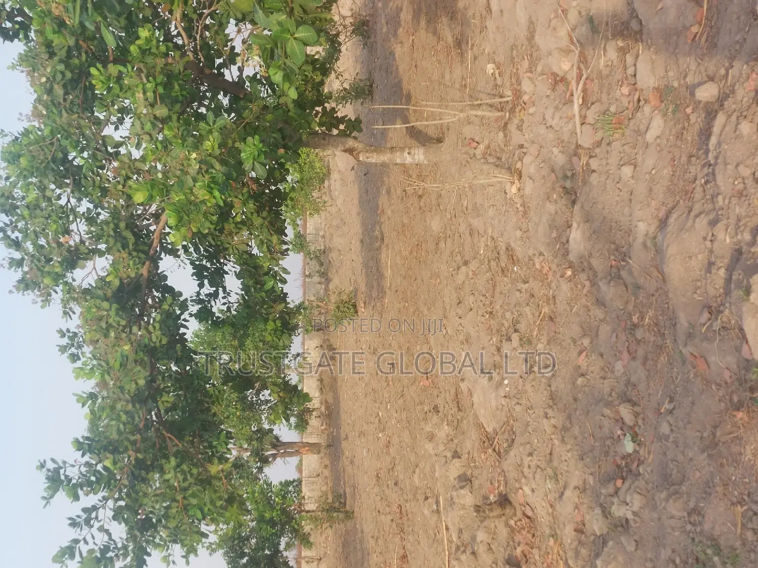 Plots for Sale at Broadview Estate Idu Industrial