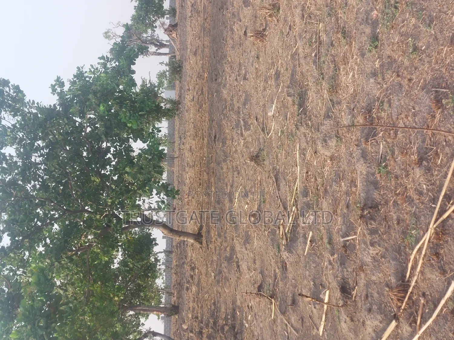 Plots for Sale at Broadview Estate Idu Industrial