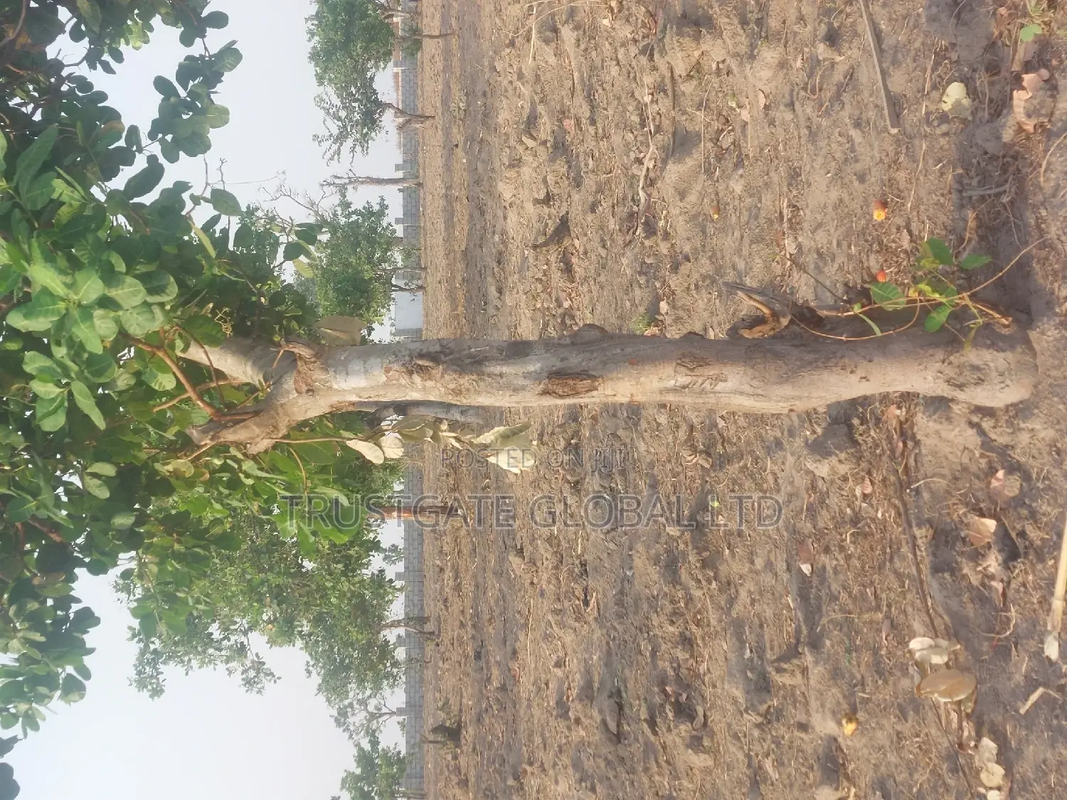 Plots for Sale at Broadview Estate Idu Industrial