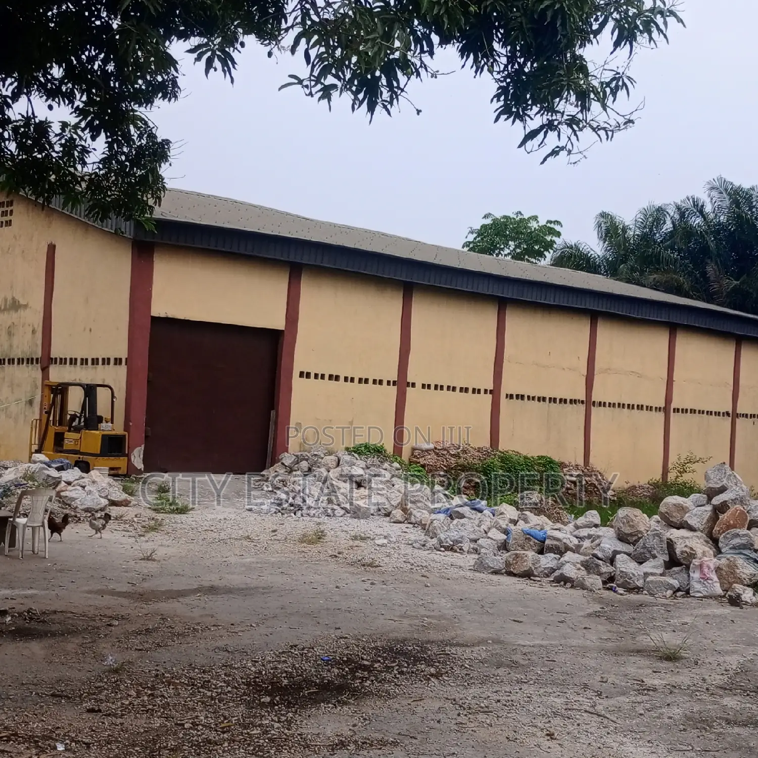 Warwhou for Sale in Portharcourt