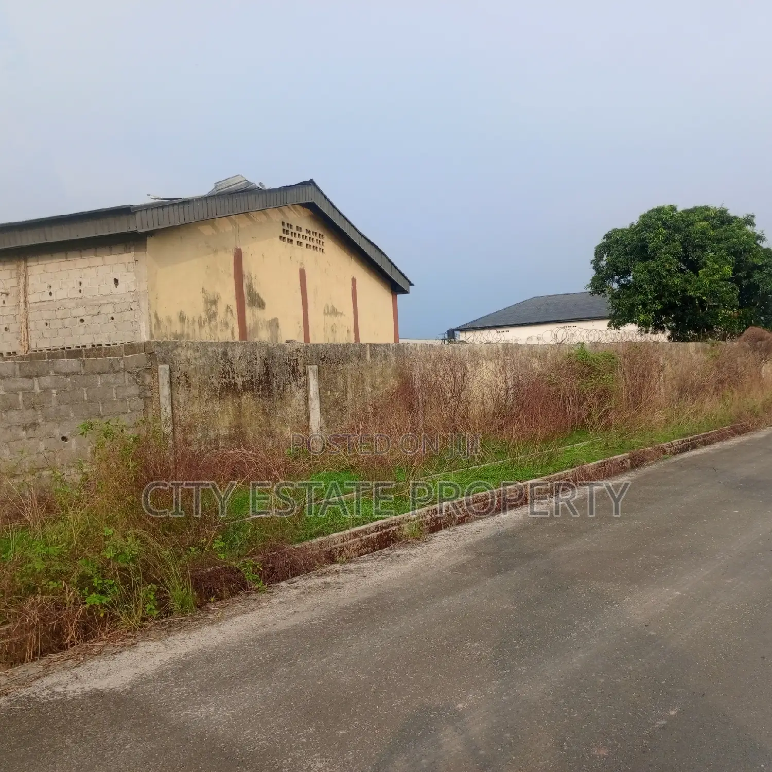Warwhou for Sale in Portharcourt