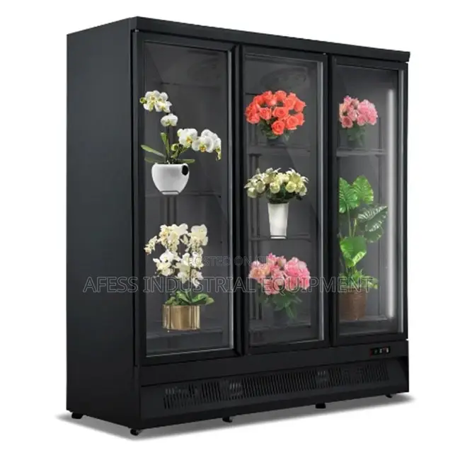 3 Doors Chiller Refrigerator Display