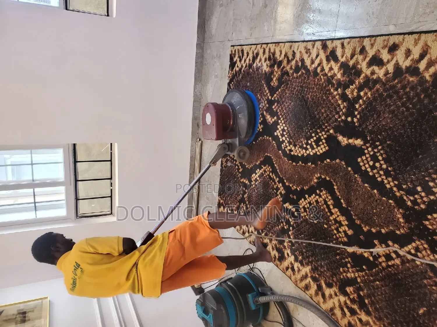 Upholstery, Rug, Carpet Cleaning Services