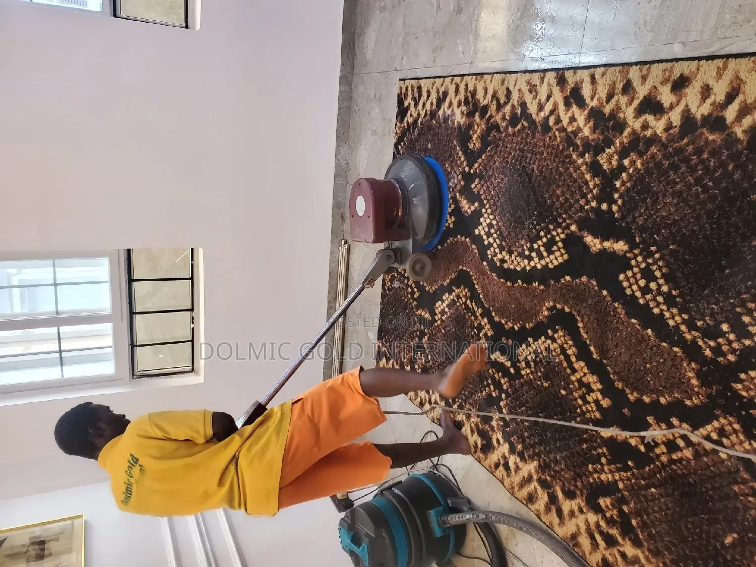 Upholstery, Rug, Carpet Cleaning Services