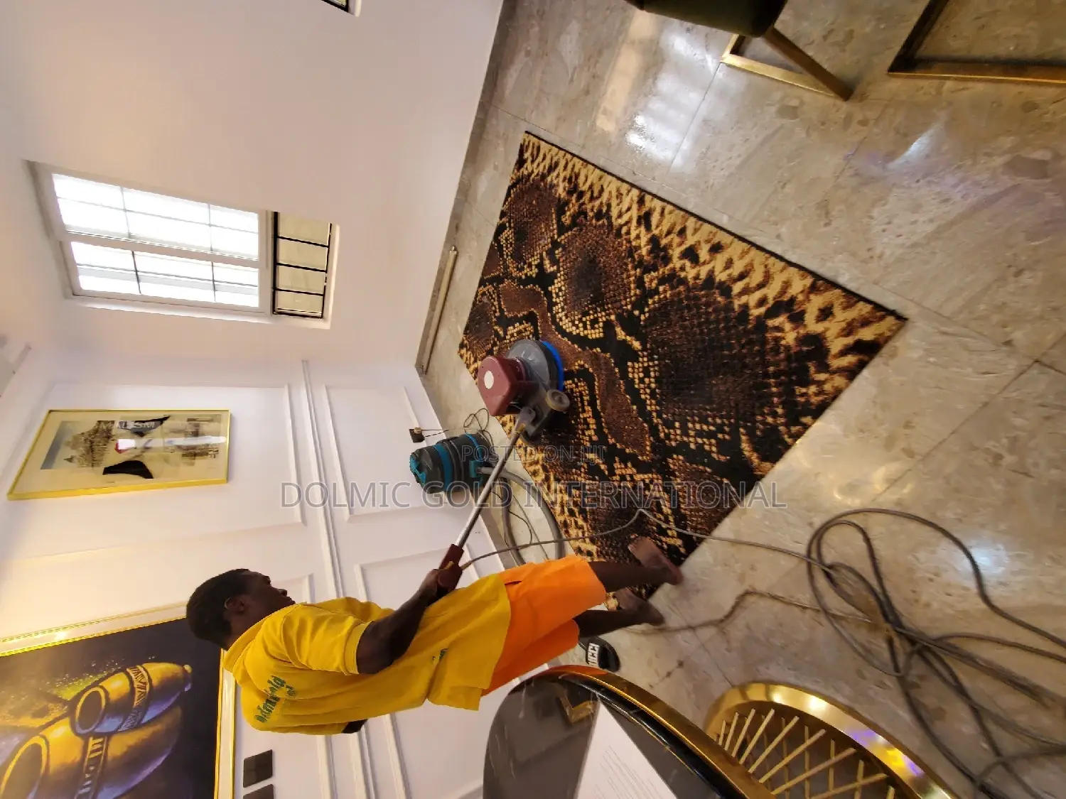 Upholstery, Rug, Carpet Cleaning Services
