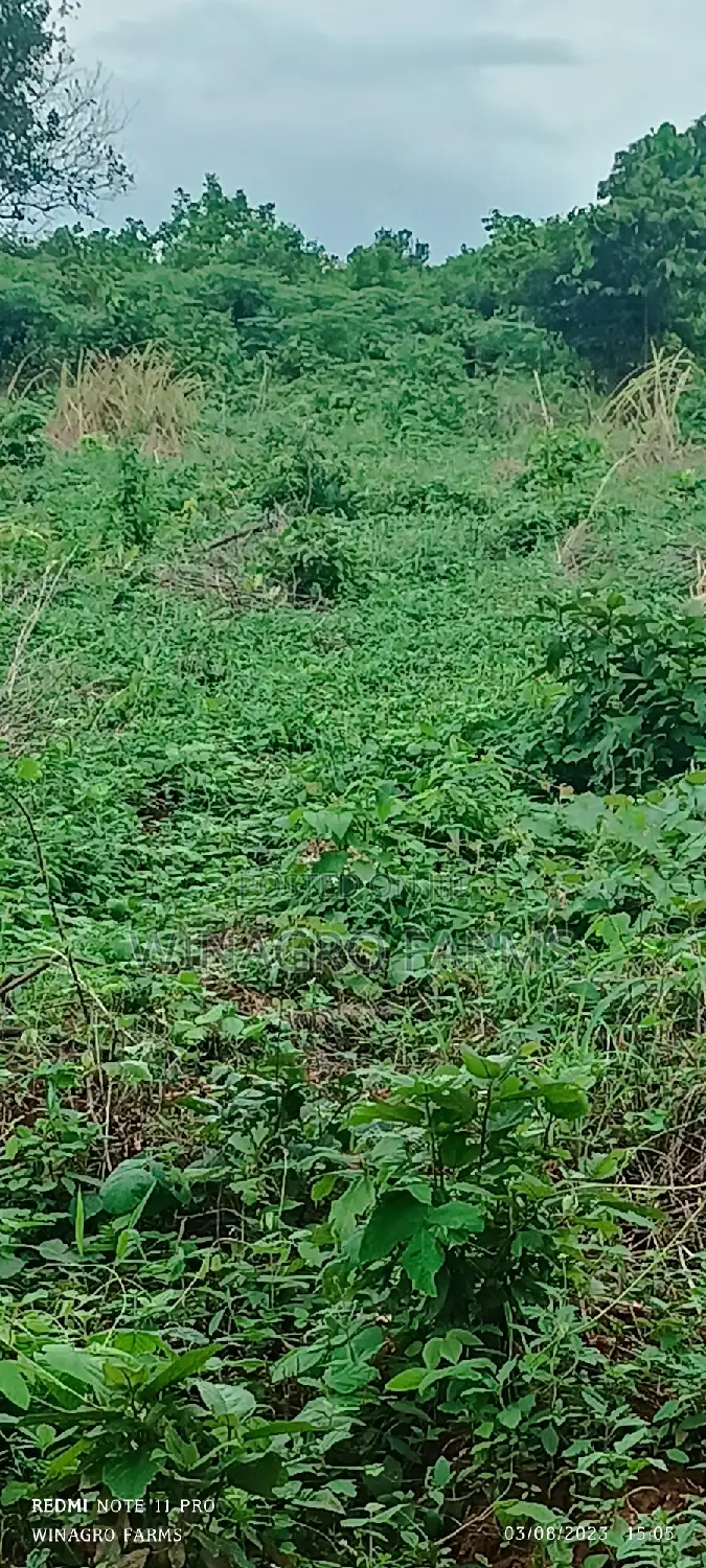 Sweet 20 Acres Farm Land