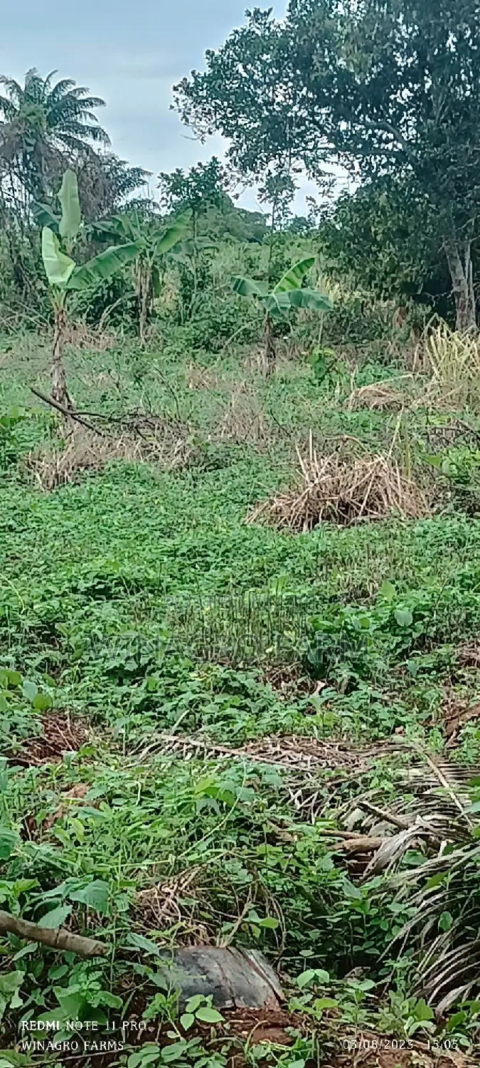 Sweet 20 Acres Farm Land