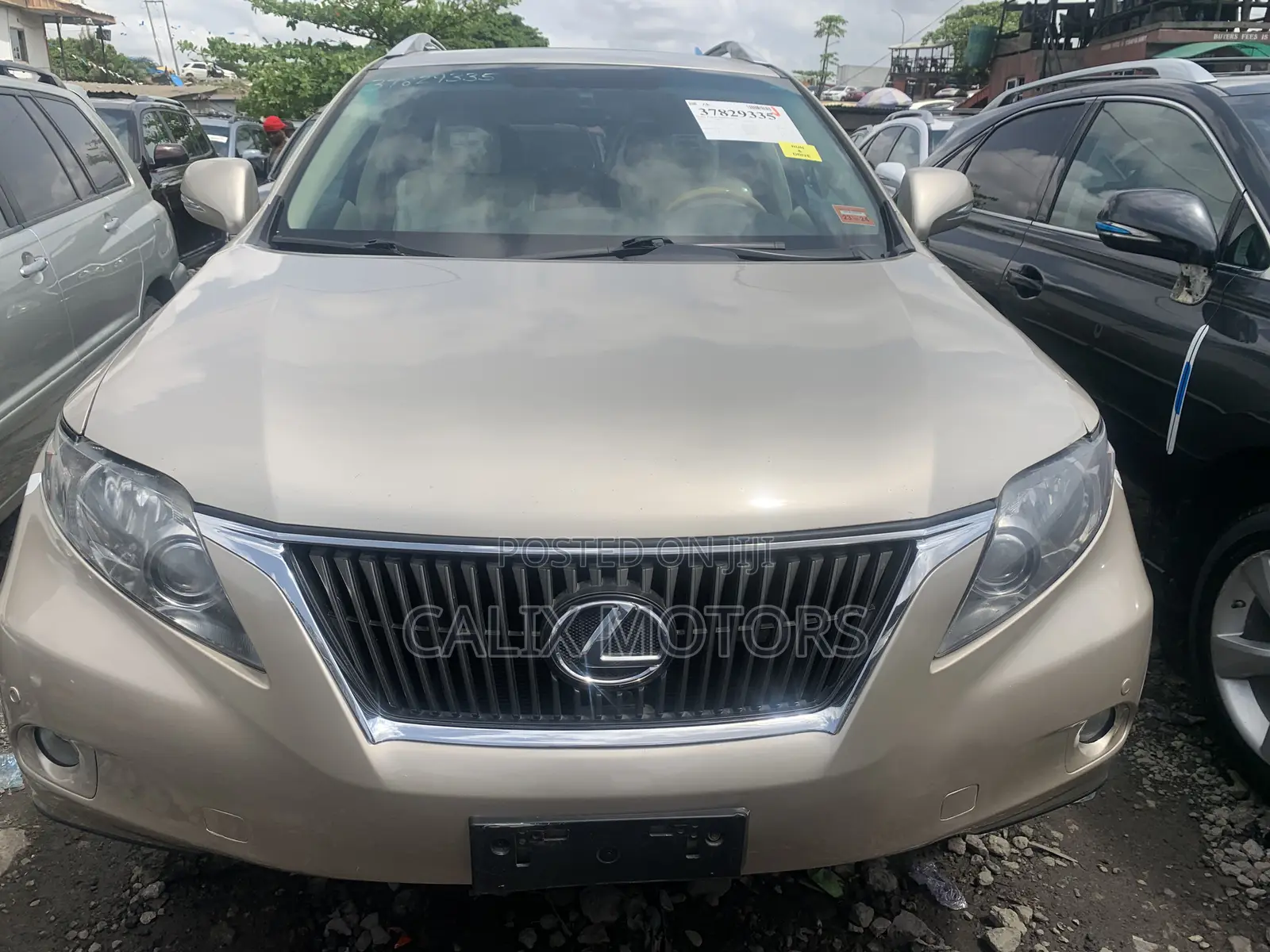 Lexus RX 2012 Gold