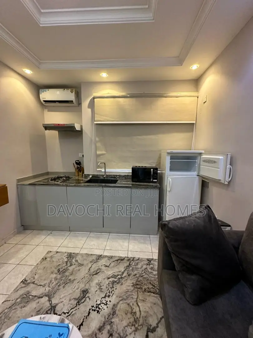 Furnished 1bdrm Apartment in Lekki Phase One for rent