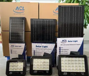 ACL Solar Flood Light