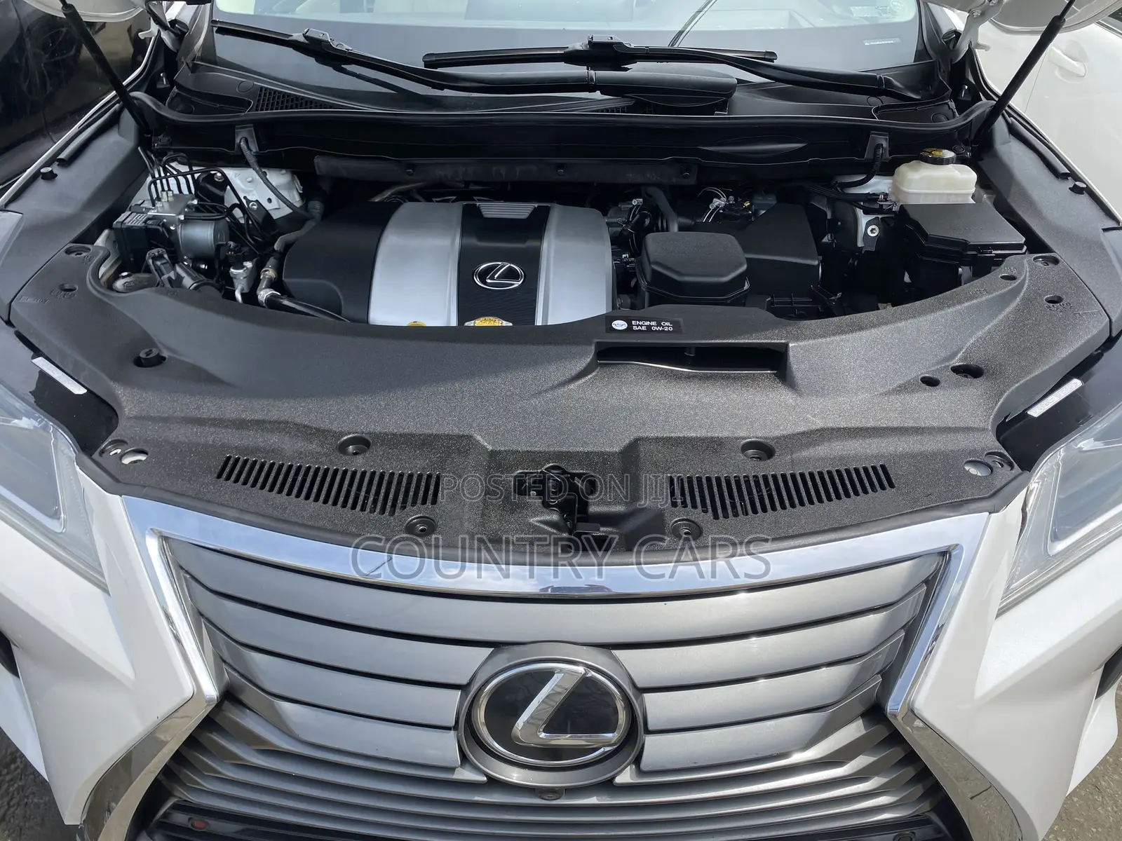 Lexus RX 350 2016 White